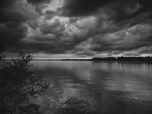 Beside the water II