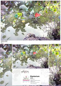 Plantarium, September-November 2023