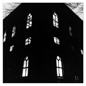 The University