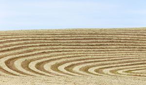 Palouse, WA. Study #43             (47,4.8592N - 117,41.7315W)