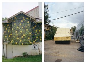 House with Flowers / Car made of Sheet Metal