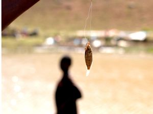 Haiti catch of the day