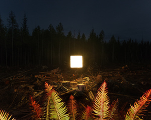 Alternatives landscapes