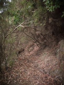 Quiet Isolation | Outland | Salina, Sicily | No. 4