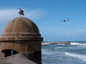 Essaouira (Morocco)