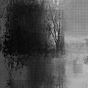 Forest #7