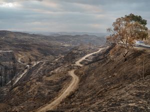 Route Fire, 2022