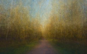 Path 16, 2011