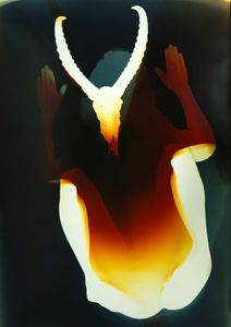 cornes III