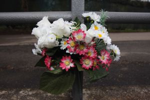 Fiori recisi