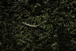 stop hiding