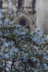 Notre Dame de Paris