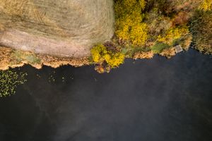 Lakeshore Operations | Fall Series #04