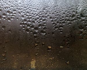 April 10. 10:15am