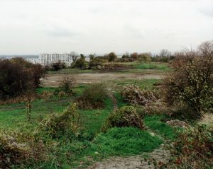 Montreuil paysage public