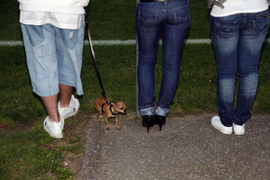Au bord de la pelouse; terrain de foot; beside de soccer field; Gumefens