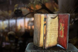 Book II © Olivia Parker, 2002