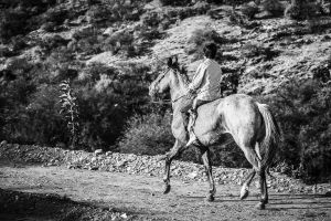 © Francisco Alcala Torreslanda