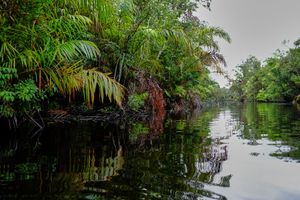 Tortuguero, Costa Rica, 2018