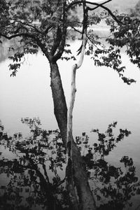 © Emma Godfrey