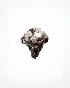 © Andy Mattern, Driven Snow #1484