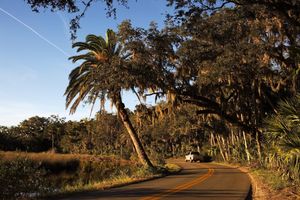 Ormond Loop