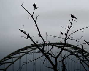 Bridge City