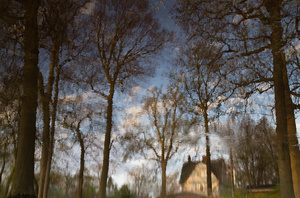 Little House in the Floating Woods