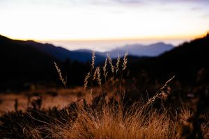 Waiting for the sun