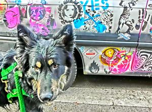 Street Art Dog