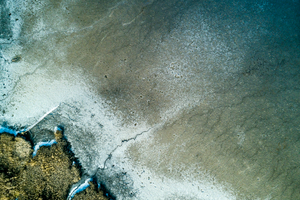 Lakeshore Operations | Ground Level Series #04