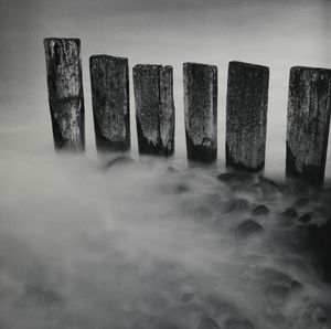 Wooden Posts Study One