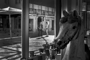 the caroussel horse the indian and the photographer