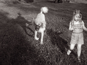 Running with the Dog