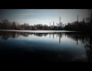 View From Central Park