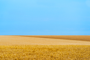 Paysage Culturel