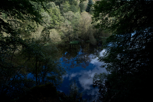 Between worlds - woods water and sky