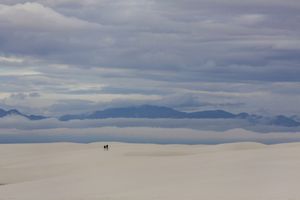 Dream on Dunes