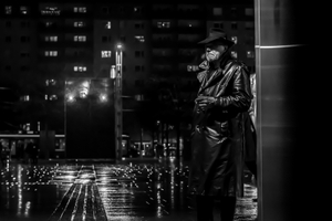 The investigator