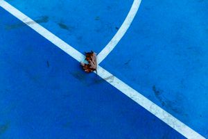The basketball court