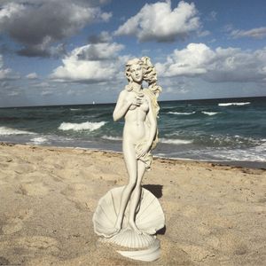 THE VENUS PROJECT