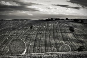 After Harvest