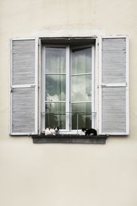 open windows 006