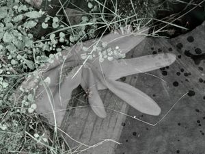© Mildred Alpern