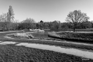 Hampstead Heath | 29