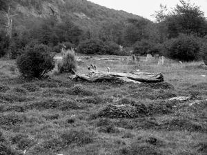 Usuahia, Tierra del Fuego.