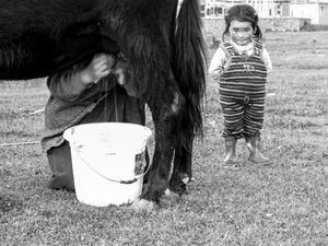 Yak Mom.