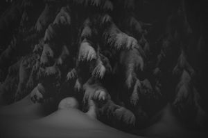 Untitled 3