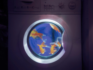 Quarantines stories 3: the endless laundry