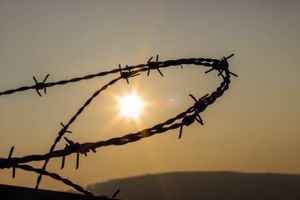 Captured sunlight